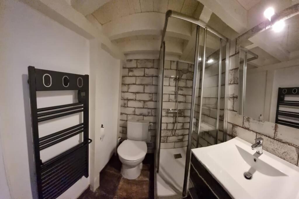 T1 Bis Cosy- Hypercentre - Clim - Metro - Wifi Daire Toulouse Dış mekan fotoğraf